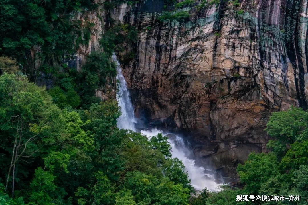 燃烧吧大脑装瓶子游戏